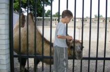 &nbsp; / zoo
