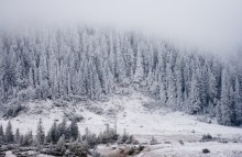 Schneebedeckte Welle / ***