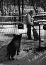 &nbsp; / tierpark