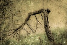 Broken time / ***
