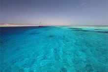 Red Sea / ***
