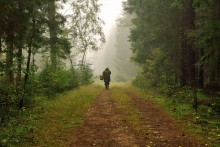 Mushroom fog / ***