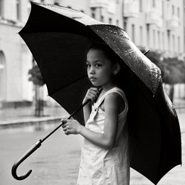 Regen / ***