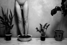 Topf (suspendiert Stillleben) / ***
