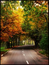 Glorious autumn ... / ***