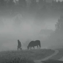 Walk / ***