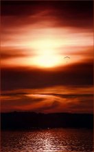 Sun Catcher ... / ***