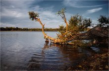 On the shore of this quiet river (2) / ***