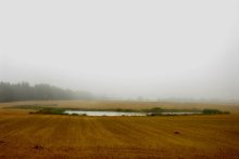Lake. Morning. / ***