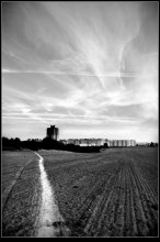 Roads / ***