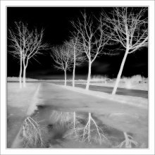 Black Sky / ***
