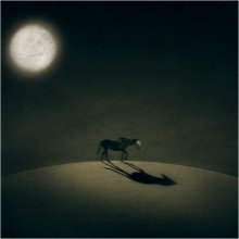 one night story .. / no comment ..