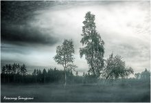 Alarmierende Morgen / ***