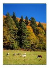 Autumn Landscape / ***