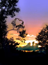 nature of love ... / ***