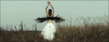 wings of freedom / ***