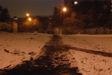 misty snowy evening / ***