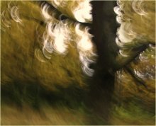 fotorisunok / ***