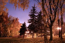 Night View 1 / ***