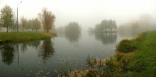 Foggy morning / ***