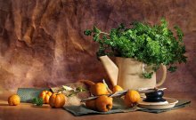 still life / *****