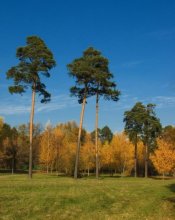 Herbst / 1111111111