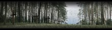 Kurapaty / ***