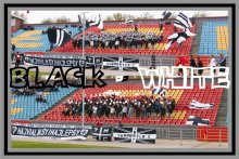 Black-White / ***