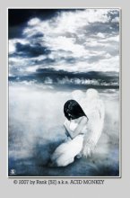 FALLEN ANGEL / ***