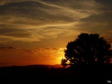 Sergei ... / *  *  *