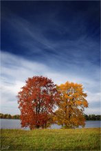 Autumn couple / ***