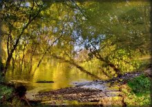 Herbst. Luftspiegelungen .. 2 / .....