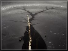  / 0000000