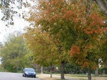 Herbst einsam / ***