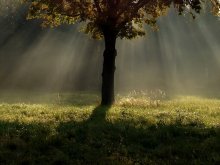 light of autumn / ***