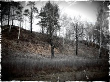 Silence of the mound. / ***
