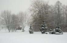 Zaplutavshie in a blizzard / ***