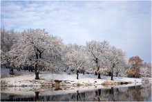 Pre-winter / ***