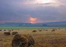 Expanses of White Russia / ***