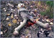 Für scho ..... ? / 77777