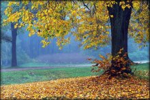 Autumn Peterhof / ***
