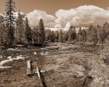 Logging / ***