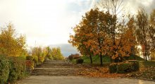 gold autumn / ***