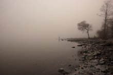 Morning in the fog / ***