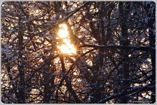 Fireworks of sun / ***
