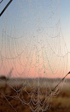 Mysteries of the autumn morning / **************