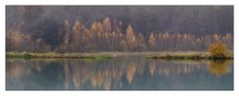 AUTUMN / ******
