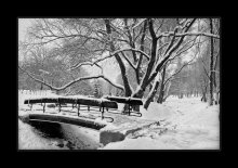 Winter-2 / ***
