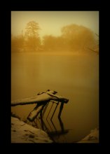 Nacht Nebel / ***