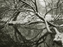winter sleep 3 / ***